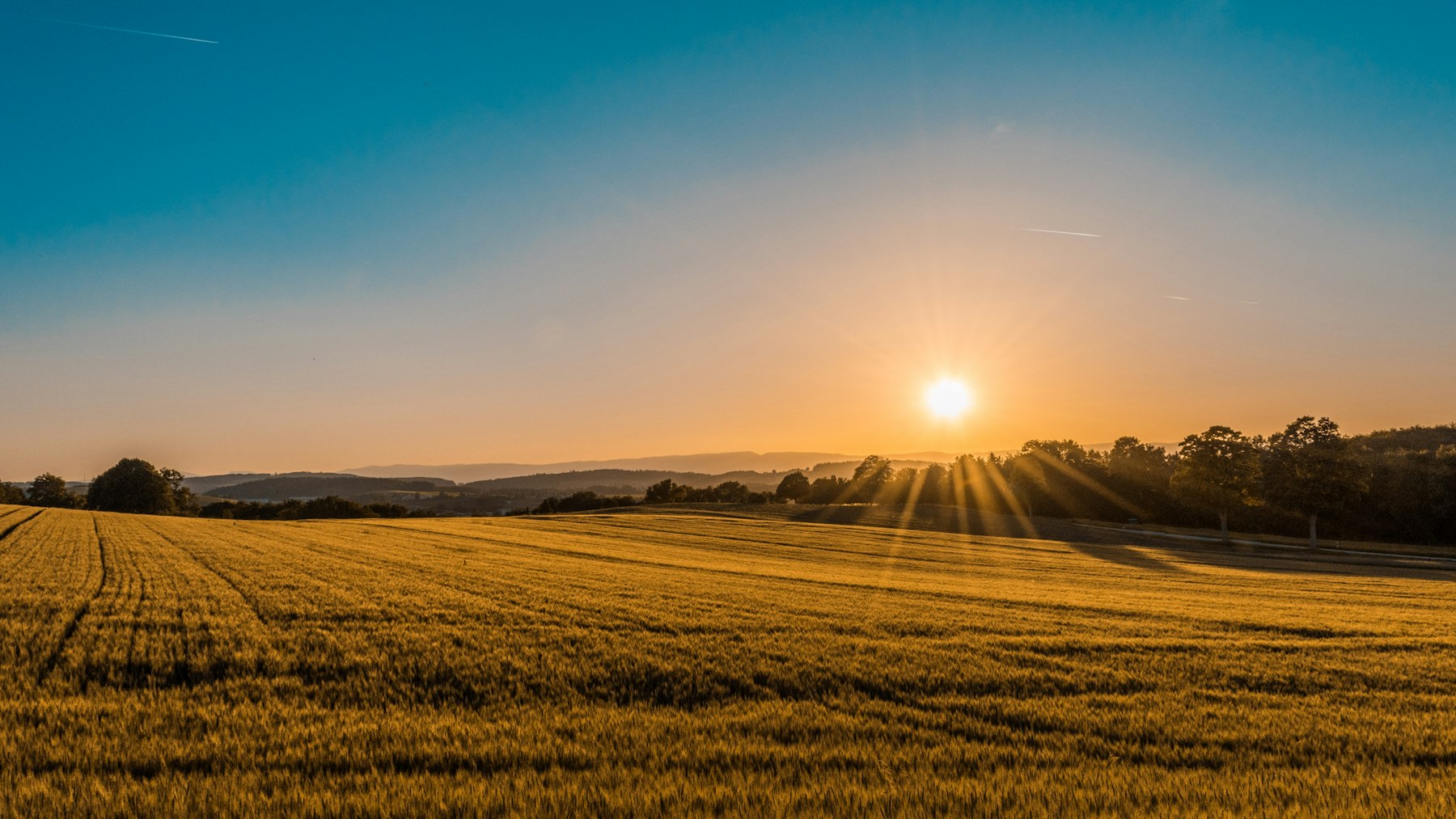 Open Iowa field before a plot install — Unsplash